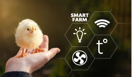 smart-poultry